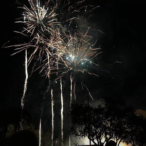 想看超清黄片视频
