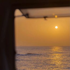 想看超清黄片视频
