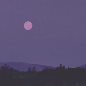 想看超清黄片视频
