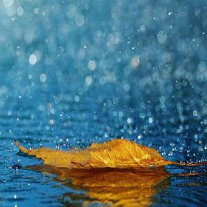 想看超清黄片视频
