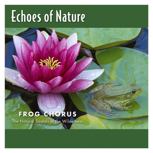 原神同人❌黄动画网站
